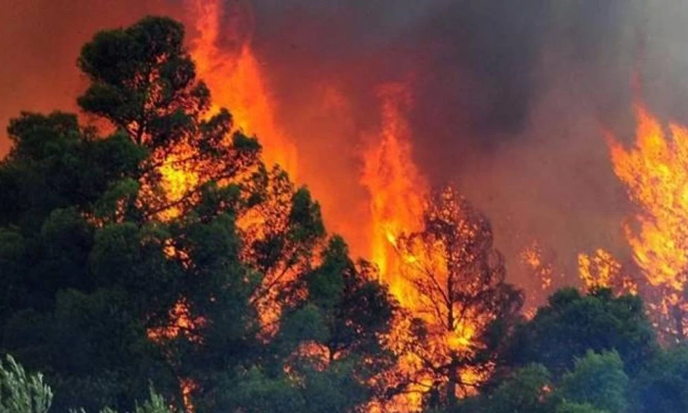 Κρήτη: Φωτιά σε αγροτοδασική έκταση στην Αγία Βαρβάρα